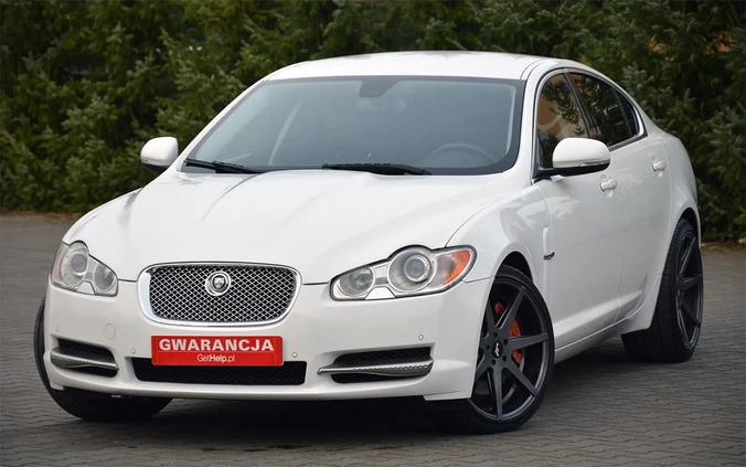 Jaguar XF cena 49900 przebieg: 219000, rok produkcji 2011 z Piwniczna-Zdrój małe 781